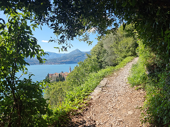 20210823_154136_cro.jpg 20210823_154136_cro.jpg