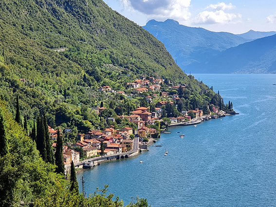 20210823_165457_cro.jpg 20210823_165457_cro.jpg