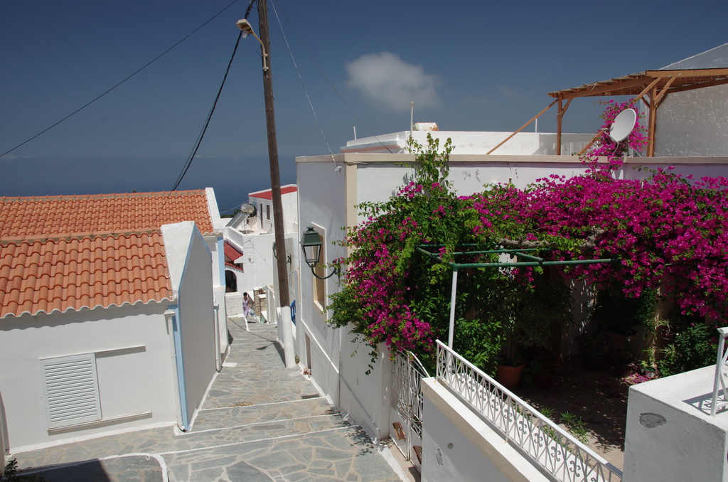 Piles / IMGP2764_resize.JPG IMGP2764_resize.JPG