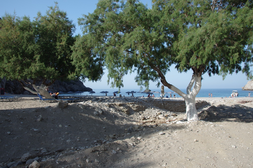 Achata / IMGP2820_resize.JPG IMGP2820_resize.JPG