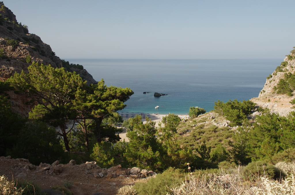 Achata / IMGP2839_resize.JPG IMGP2839_resize.JPG