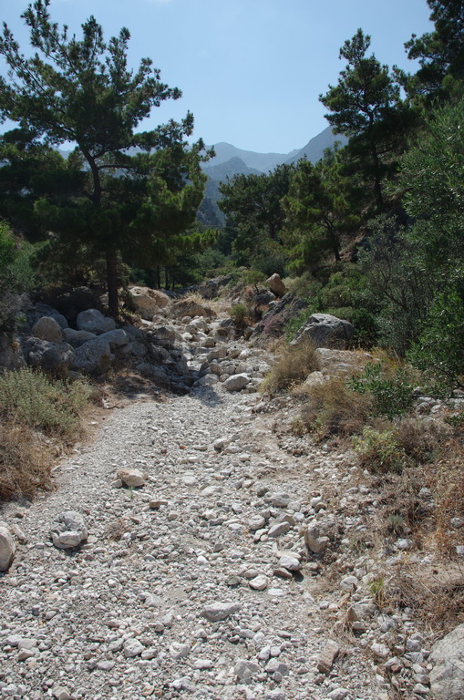 Aghios Georgios / IMGP3134_resize.JPG IMGP3134_resize.JPG