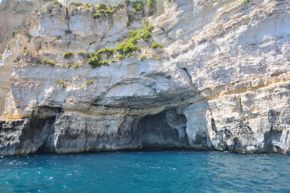 DSC_0774_00533.jpg DSC_0774_00533.jpg