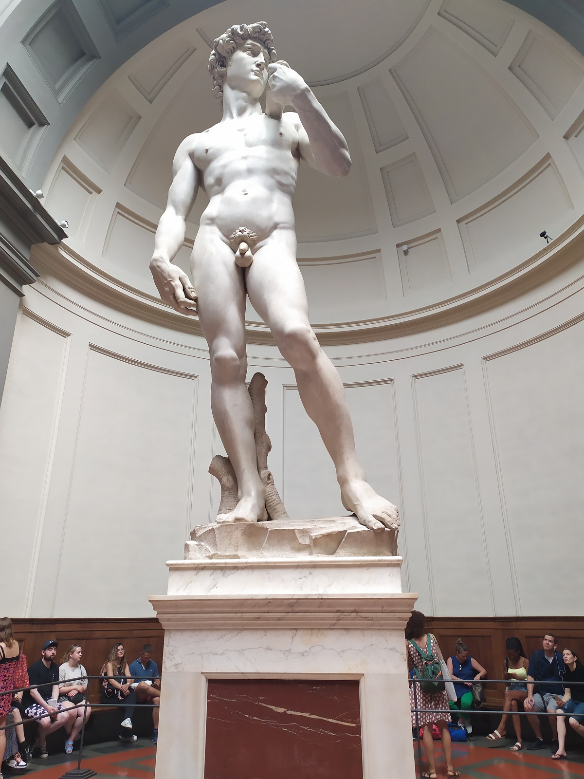 "Dawid"- Galeria Academica / IMG_20220723_150606.jpg IMG_20220723_150606.jpg