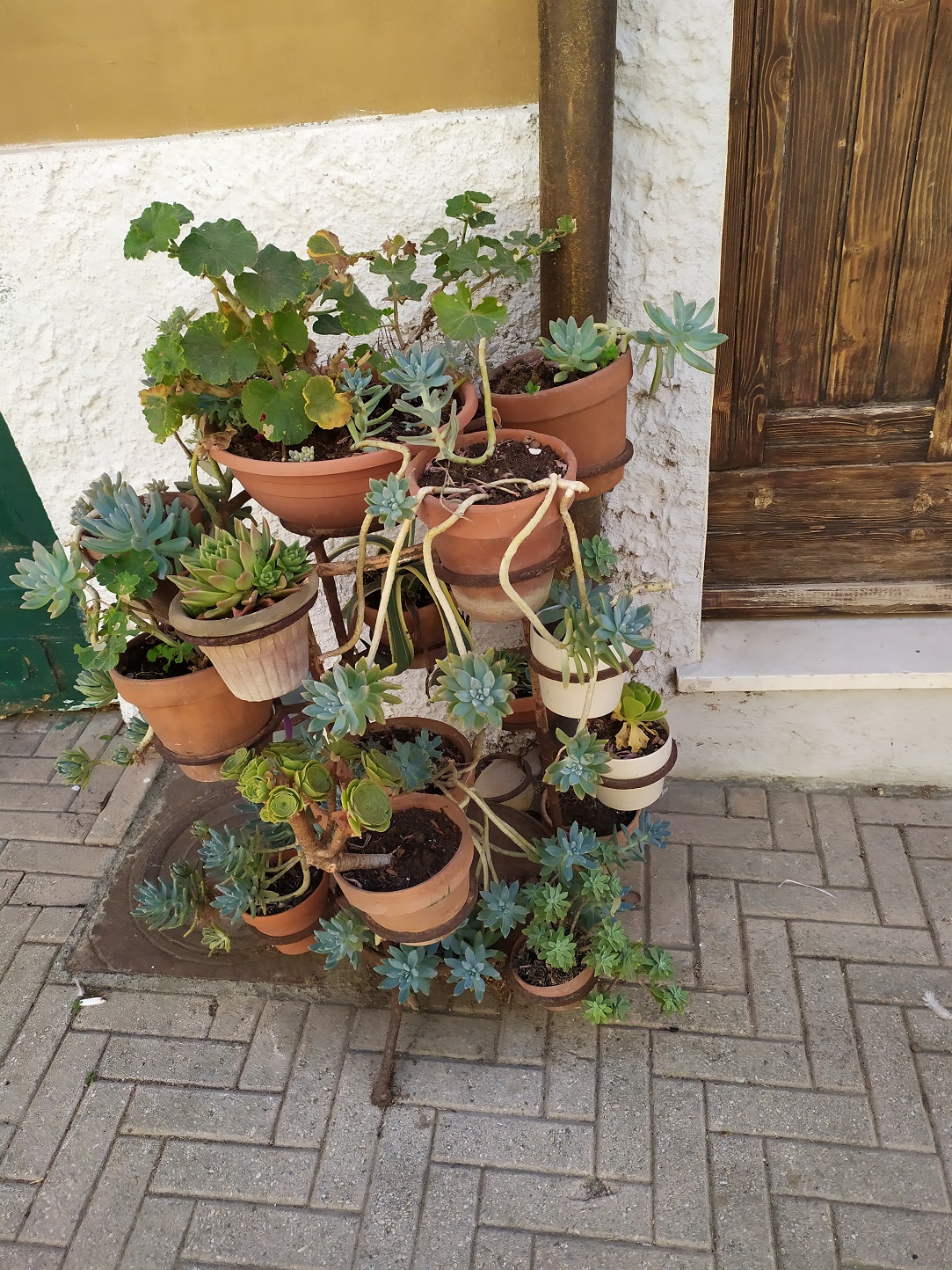 Takie cuda przed naszym domkiem / IMG_20220726_143618.jpg IMG_20220726_143618.jpg