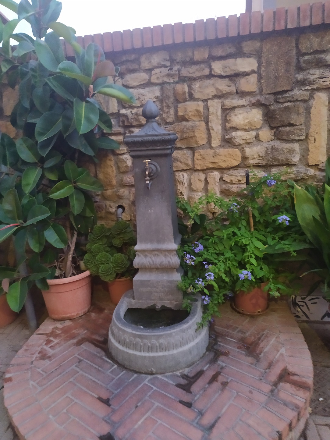 Takie cuda przed naszym domkiem / IMG_20220724_205909.jpg IMG_20220724_205909.jpg