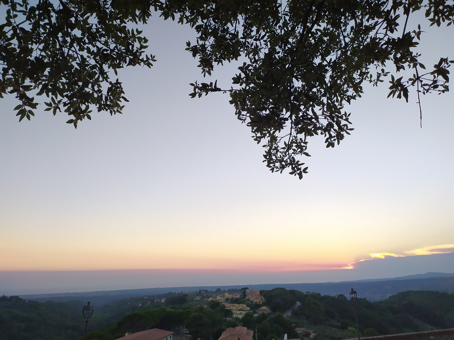 Widoki i to świetne drzewo... / IMG_20220725_203952.jpg IMG_20220725_203952.jpg