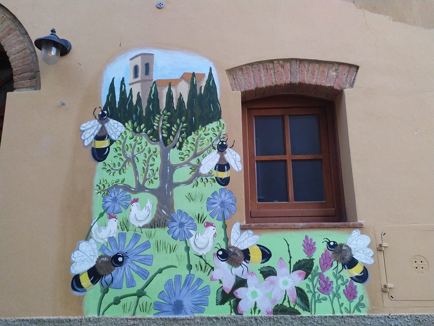 Spacery po Montescudaio / IMG_20220725_205055_1.jpg IMG_20220725_205055_1.jpg