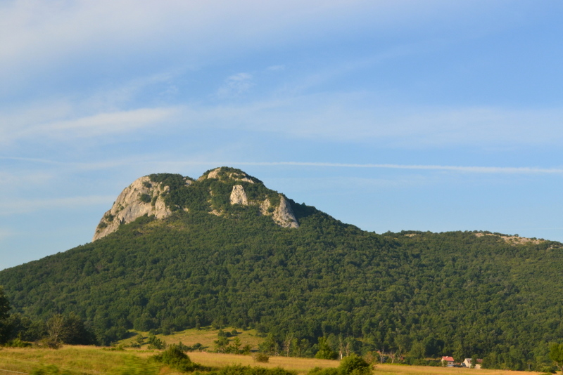 DSC_2265.JPG DSC_2265.JPG