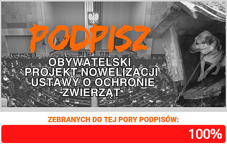 Zrzut ekranu 2024-09-22 084610.png