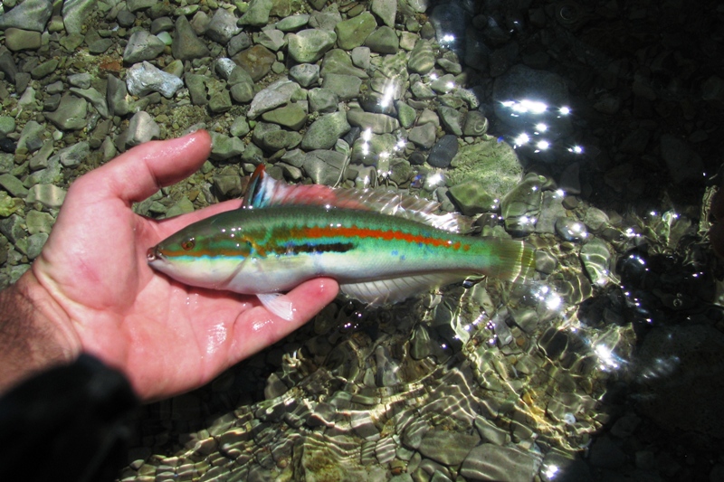 1 / kajak 2 dzień 4.jpg kajak 2 dzień 4.jpg