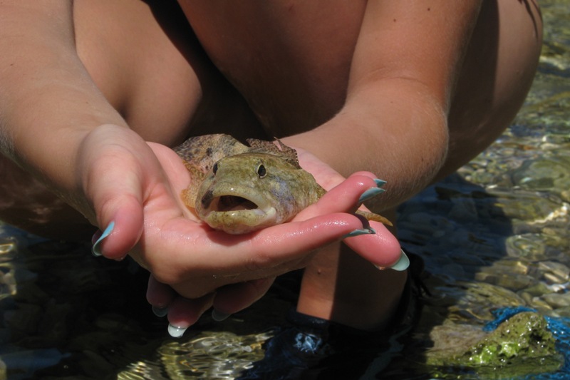 glowacz. / kajak 2 dzień 5.jpg kajak 2 dzień 5.jpg