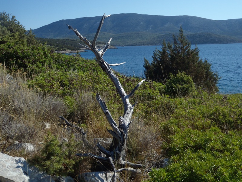 widoczek na cypel Bijar / 31.JPG 31.JPG