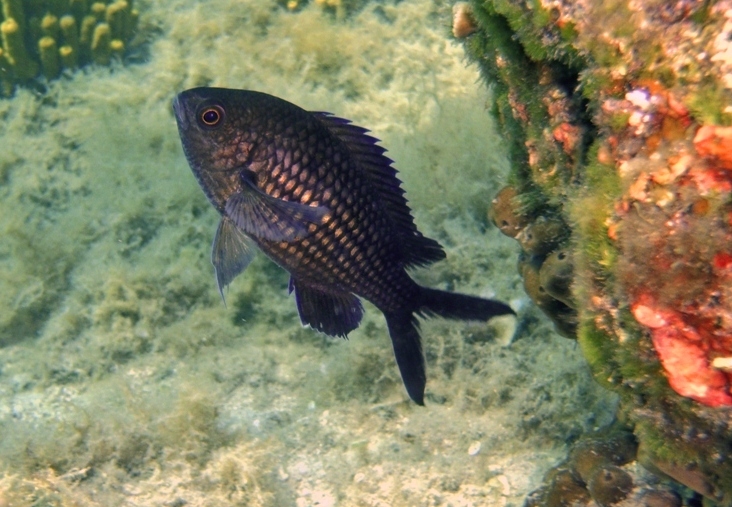 ta lubi pozować / 15.JPG 15.JPG