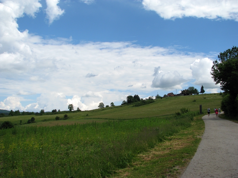 Widok za nami / IMG_1492.JPG IMG_1492.JPG