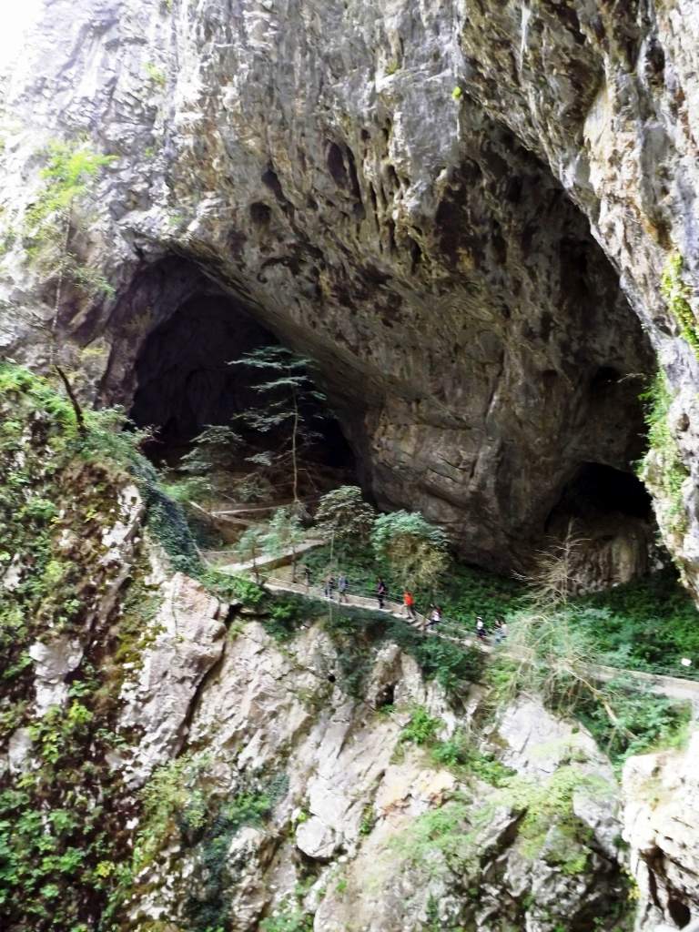 126 / DSCF8337.JPG DSCF8337.JPG