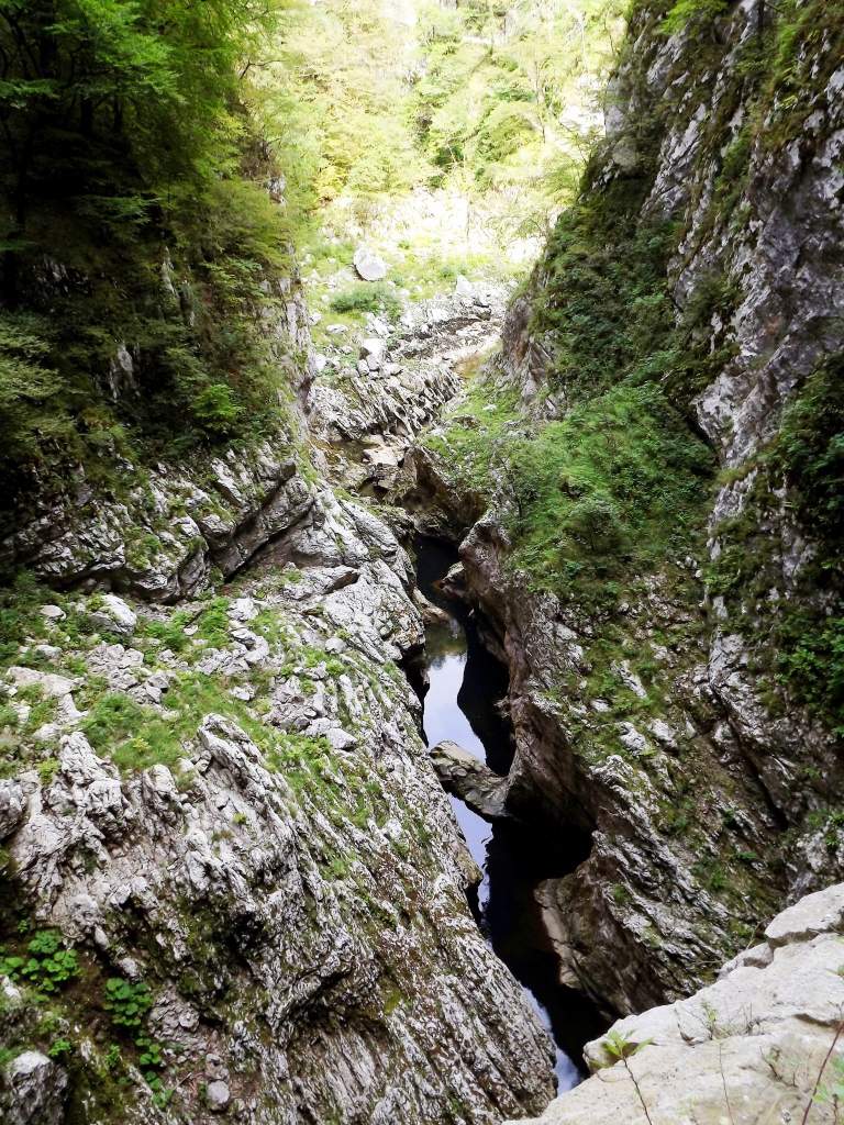 127 / DSCF8338.JPG DSCF8338.JPG