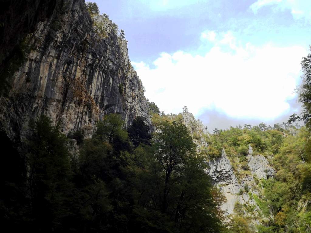 128 / DSCF8340.JPG DSCF8340.JPG