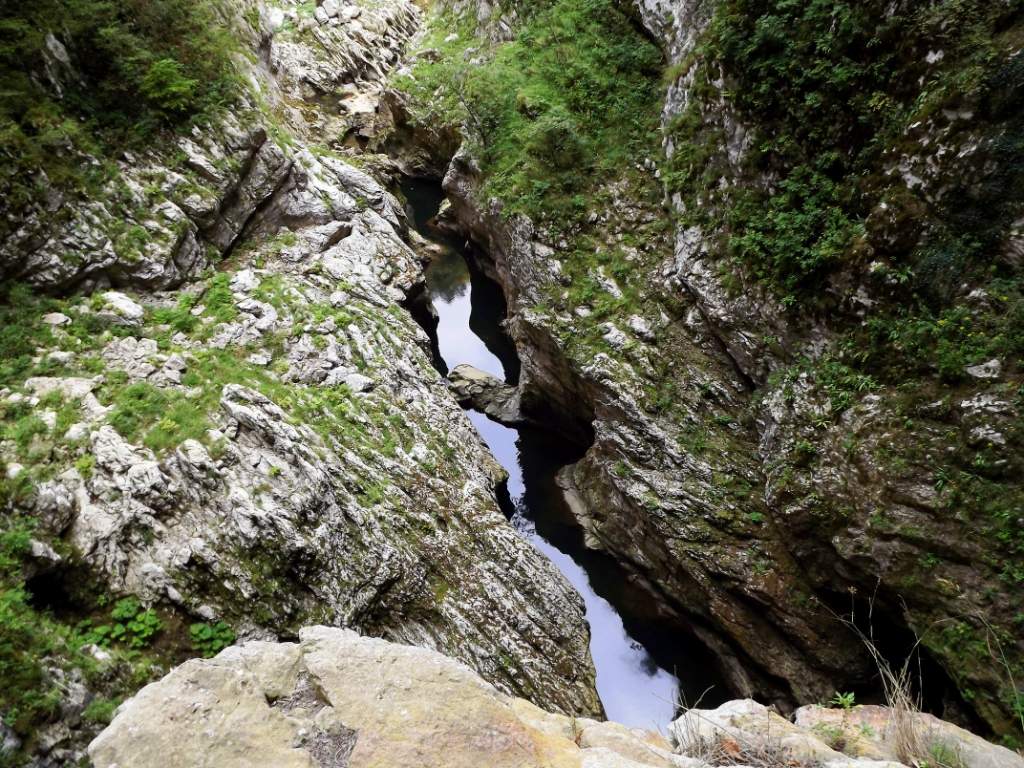 129 / DSCF8341.JPG DSCF8341.JPG