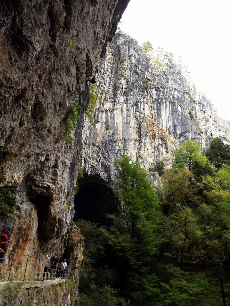 130 / DSCF8342.JPG DSCF8342.JPG