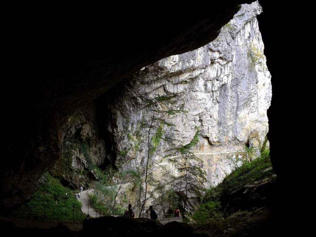 131 / DSCF8347.JPG DSCF8347.JPG