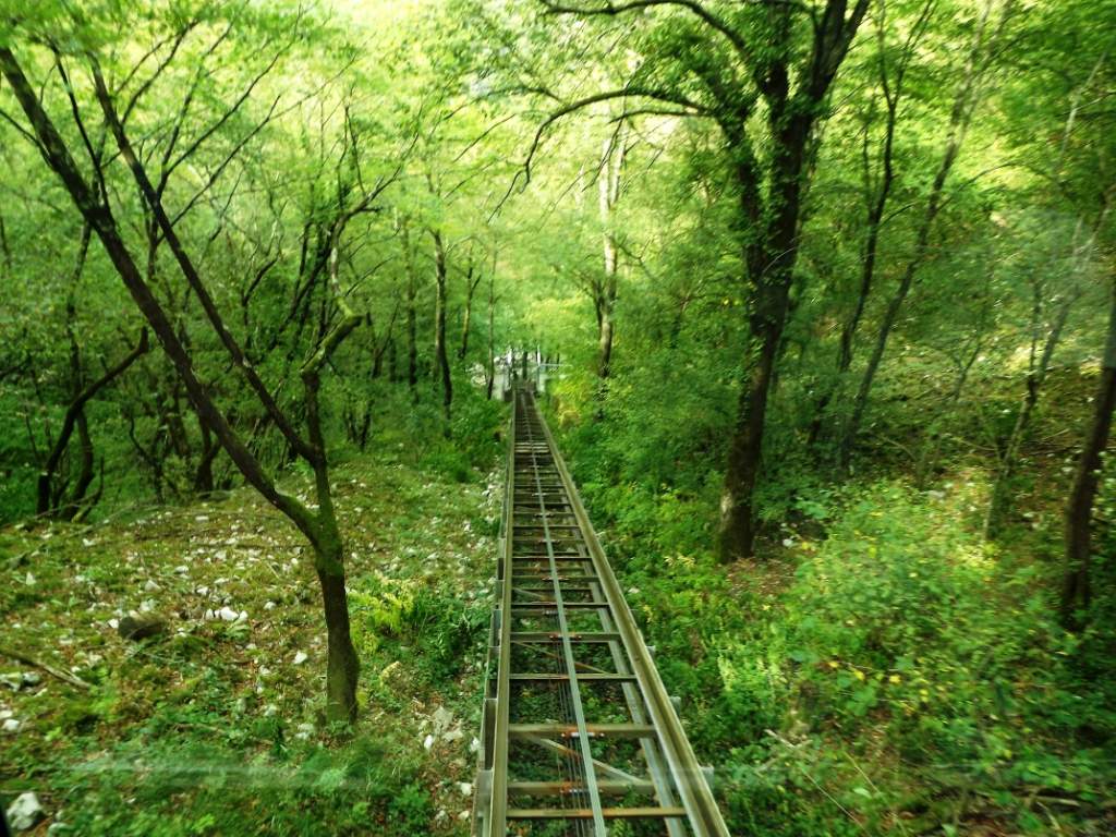 133 / DSCF8349.JPG DSCF8349.JPG