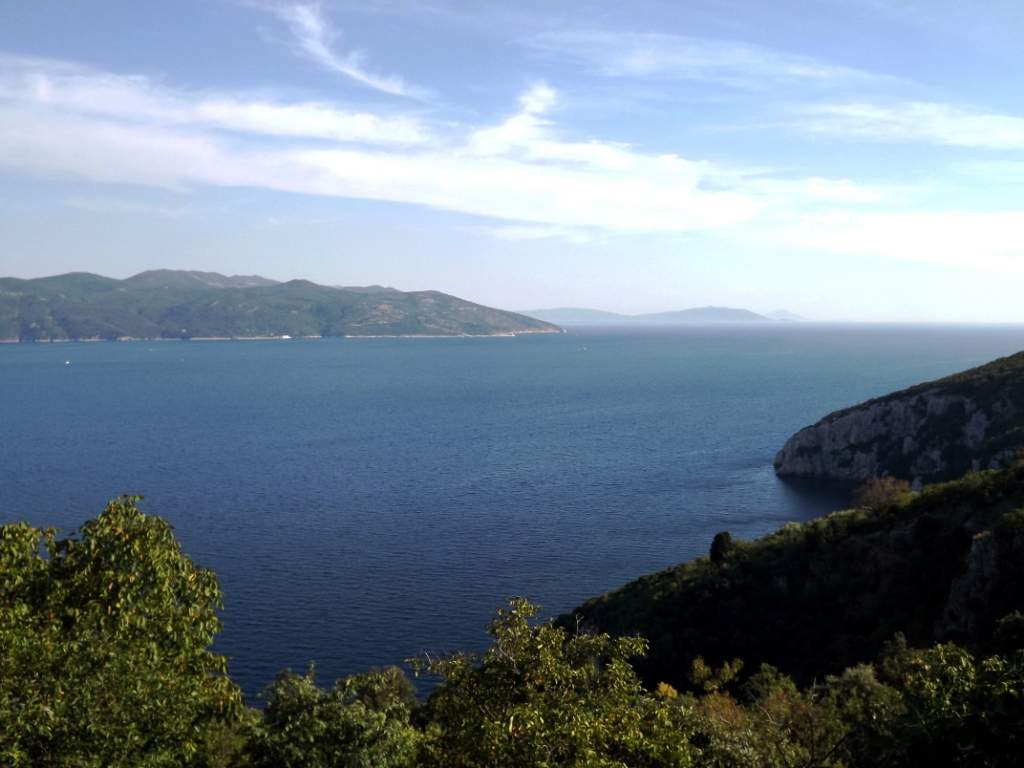 207 / DSCF8512.JPG DSCF8512.JPG