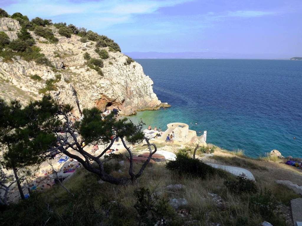 209 / DSCF8481.JPG DSCF8481.JPG