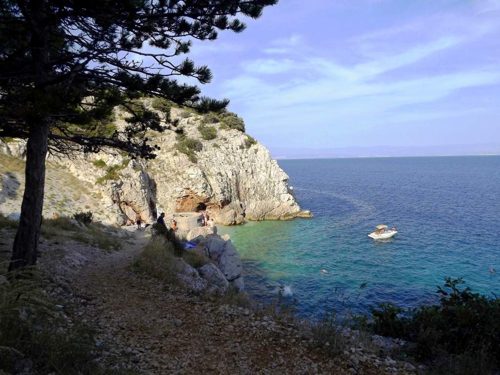 217 / DSCF8504.JPG DSCF8504.JPG