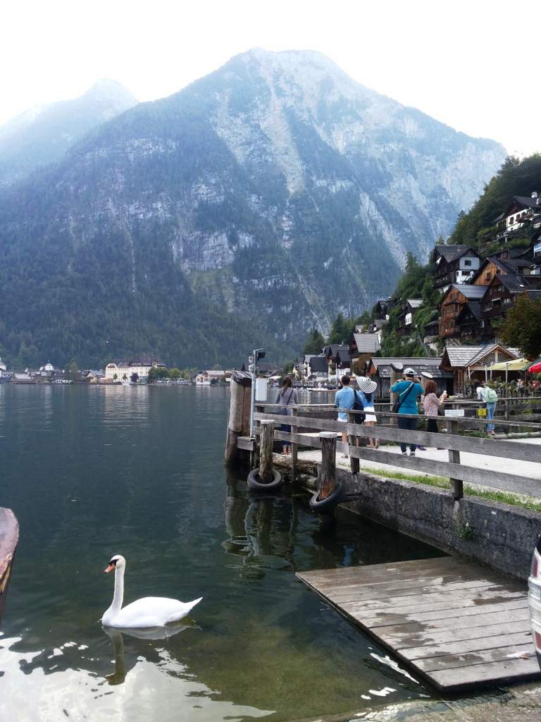 914 / 20160911_145651.jpg 20160911_145651.jpg