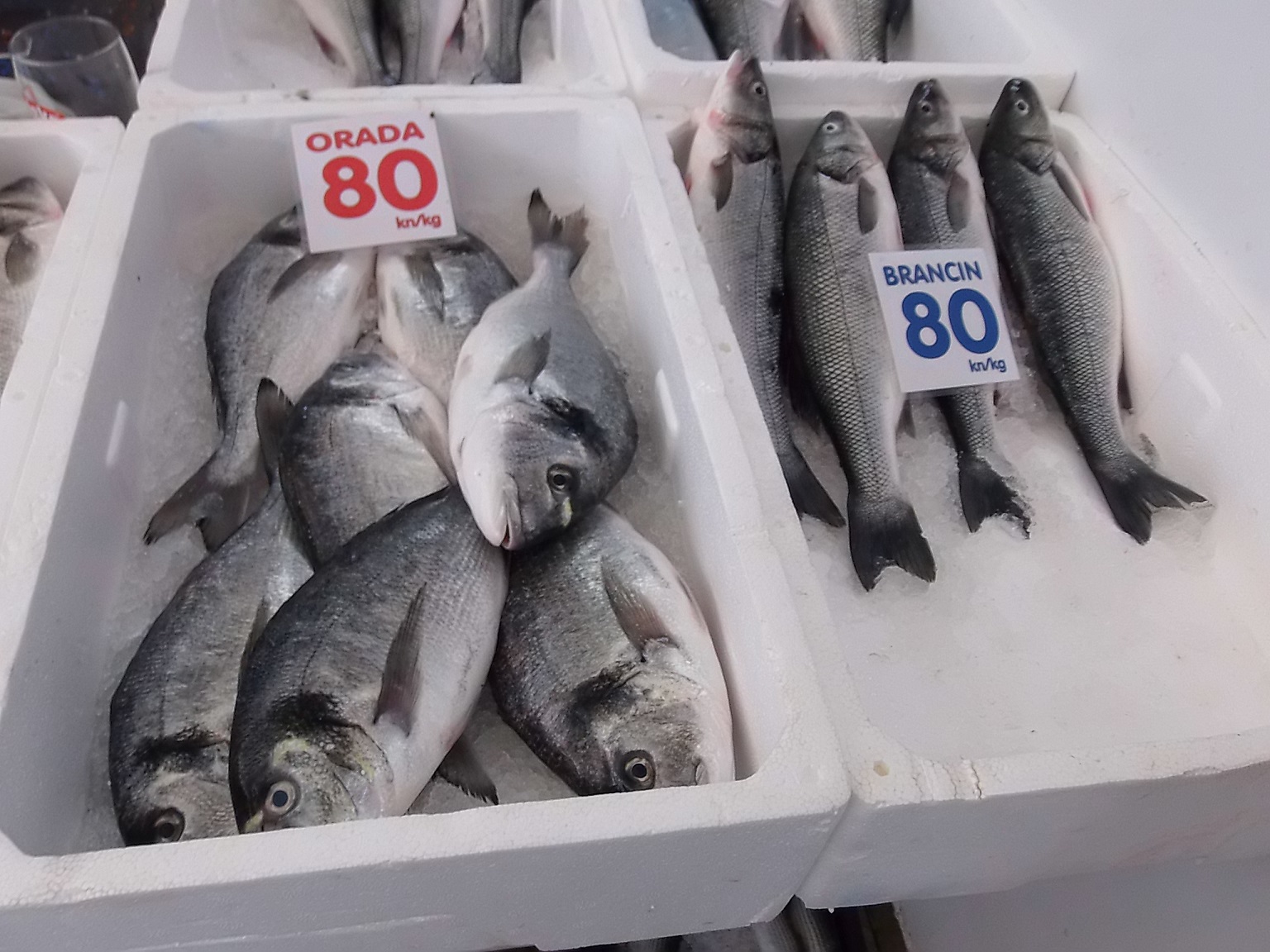 Przy okazji ceny 2016 / P7040243.jpg P7040243.jpg