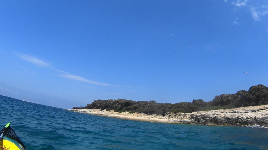 C0099(1).JPG C0099(1).JPG