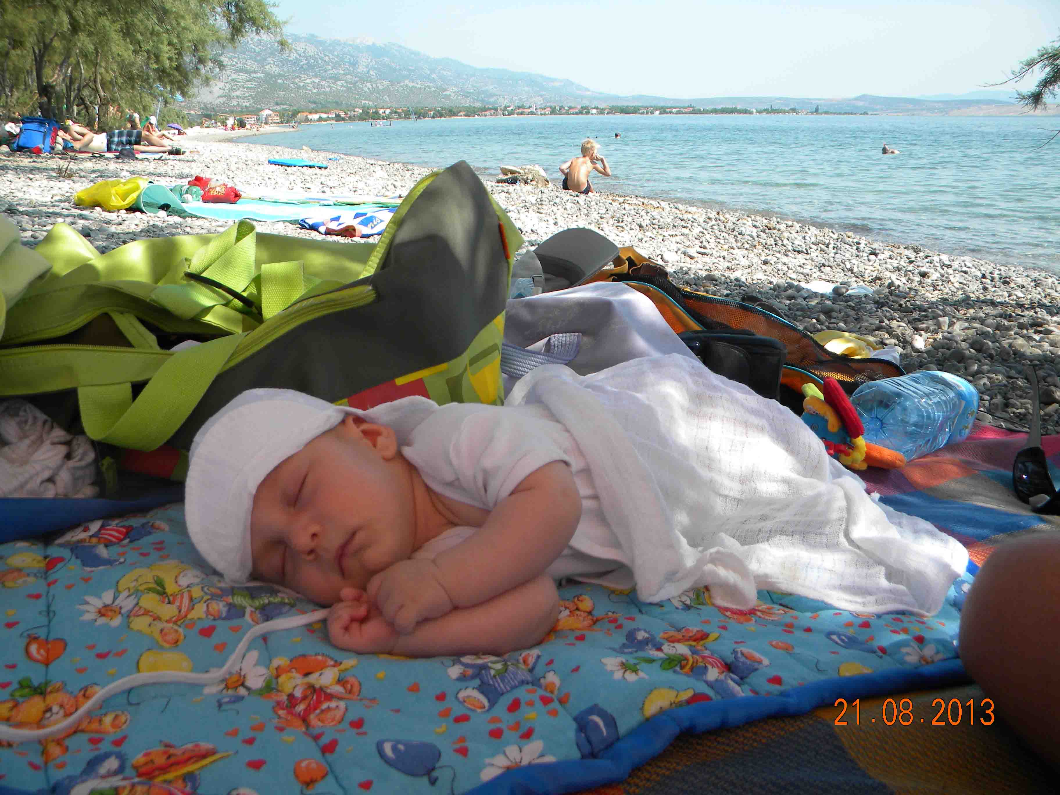 misiek.jpg misiek.jpg