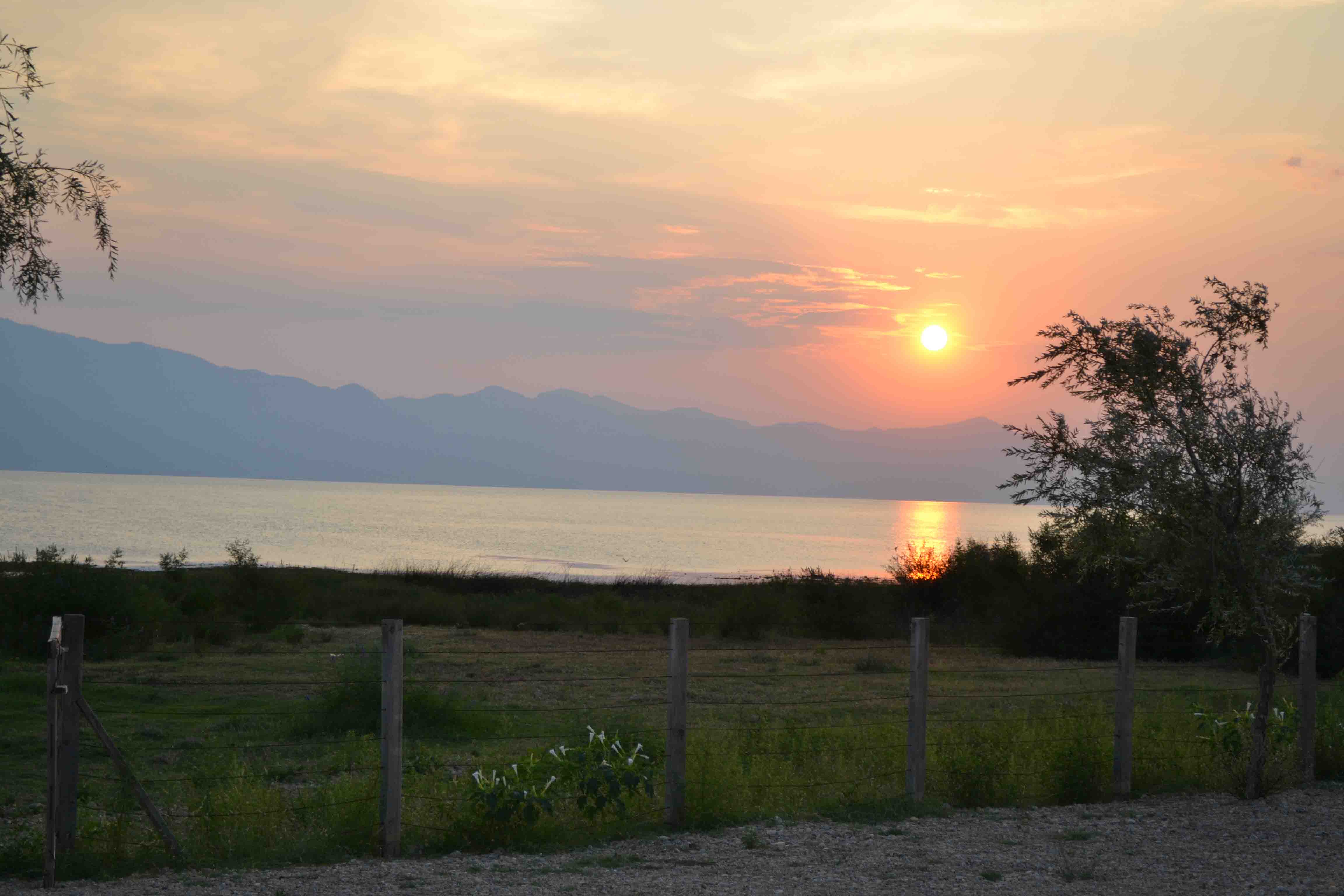 Jezioro szkoderskie a góry w tle to już Czarnogóra / DSC_0351.JPG DSC_0351.JPG