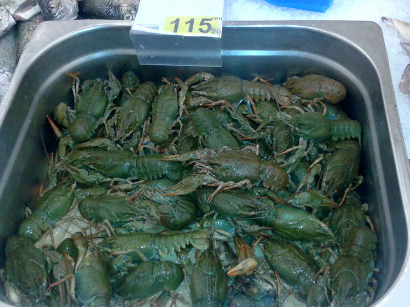 2013-09-13 12.55.59.jpg 2013-09-13 12.55.59.jpg