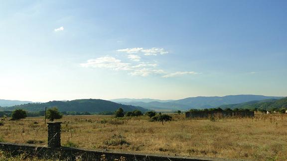 DSC05310.JPG DSC05310.JPG