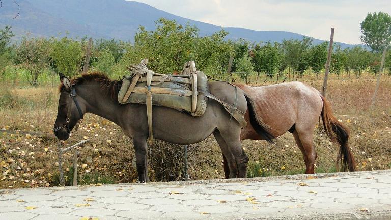 DSC05900.JPG DSC05900.JPG