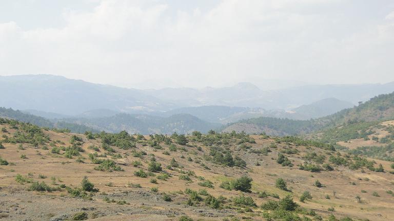 DSC05891.JPG DSC05891.JPG