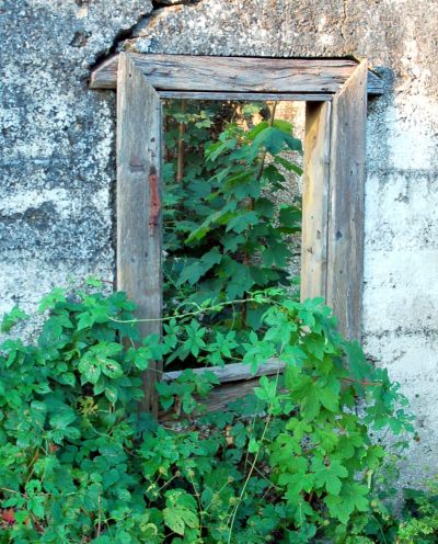 północ1.jpg północ1.jpg