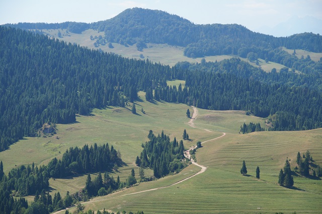 pejzaż górski.jpg