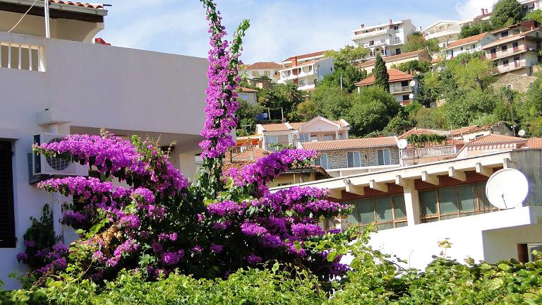 DSC03102.JPG DSC03102.JPG