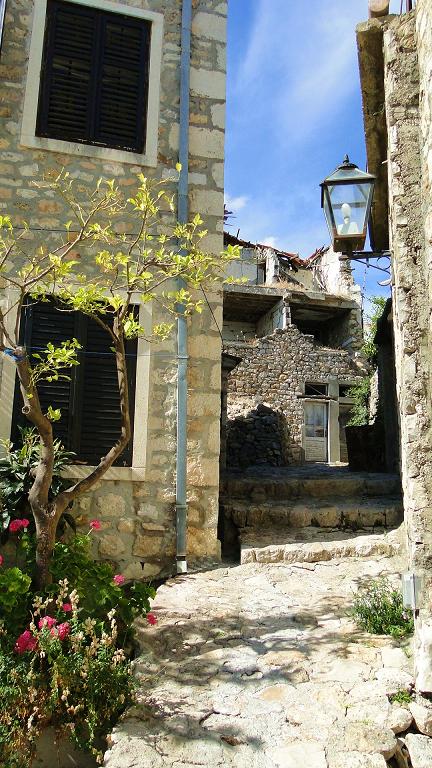 DSC03086.JPG DSC03086.JPG