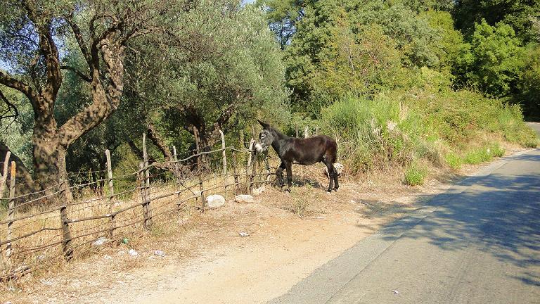 po drodze / DSC03315.JPG DSC03315.JPG