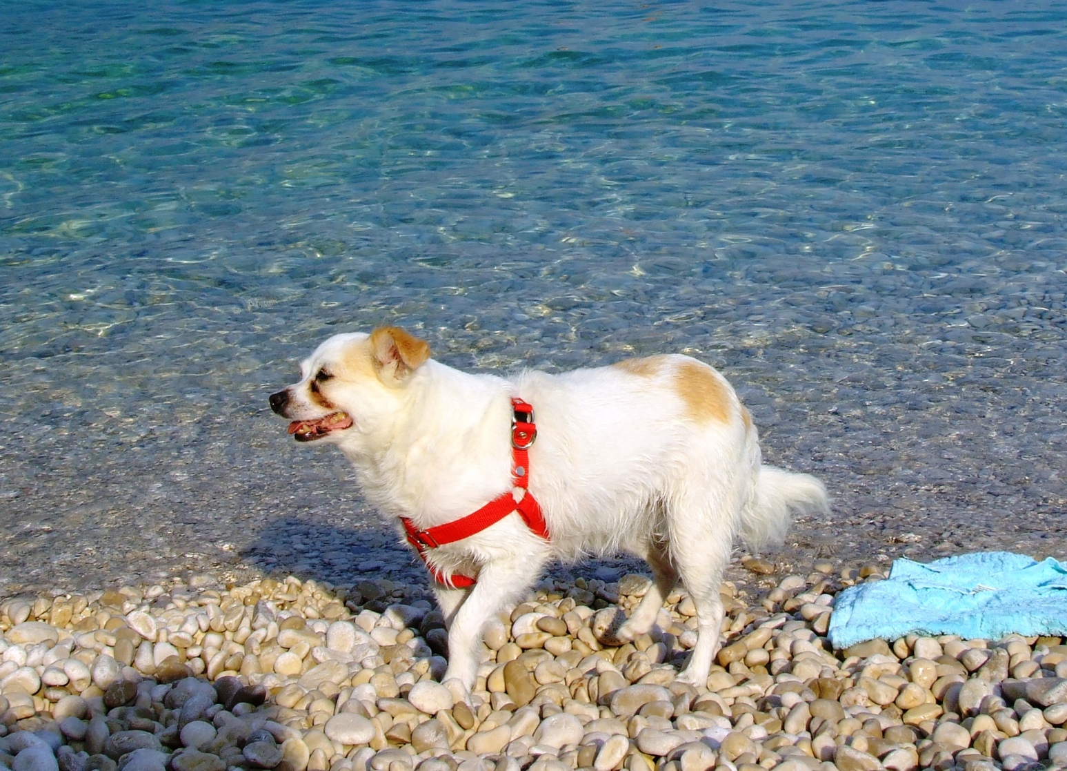 A to Kika / CRO_14_0334.JPG CRO_14_0334.JPG