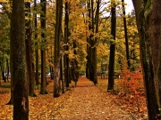 Jesień idzie przez park